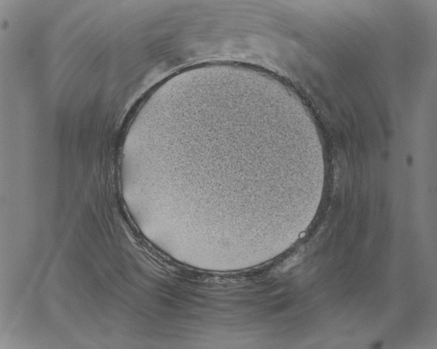 X0000066961505200604211828