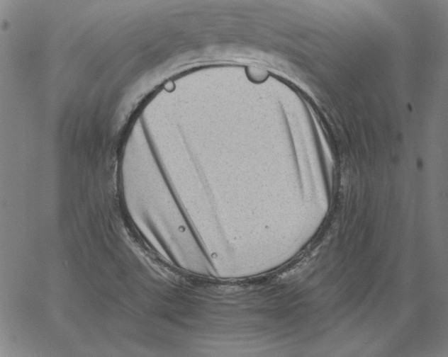 X0000066961507200604211828