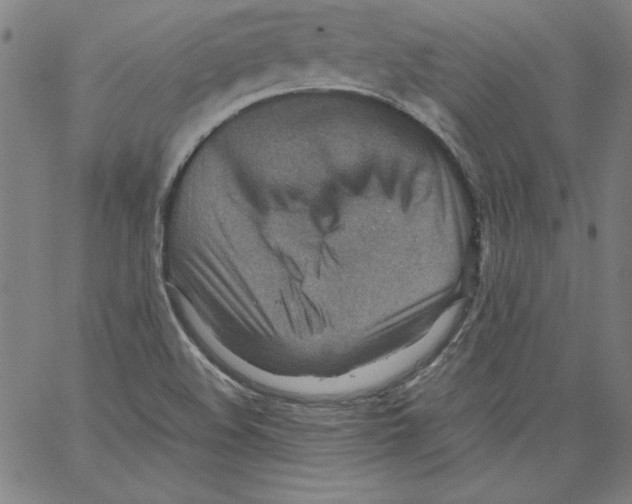 X0000066961508200604211828