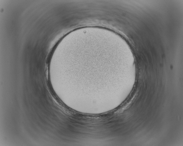 X0000066961509200604211828