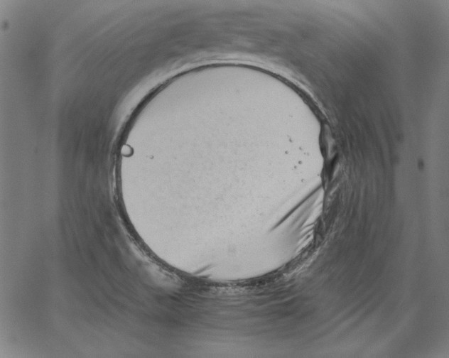 X0000066961511200604211828