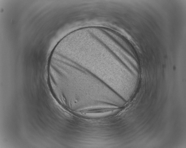 X0000066961512200604211828