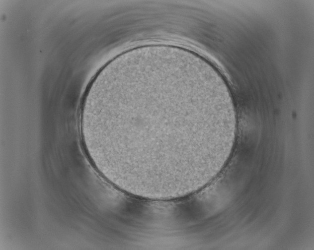 X0000066961514200604211828