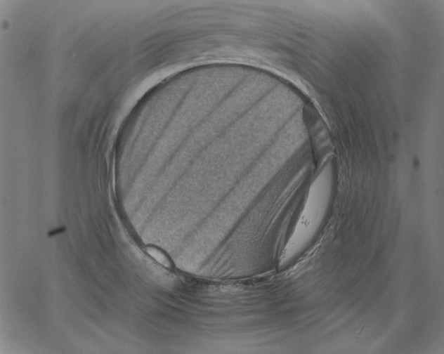 X0000066961515200604211828