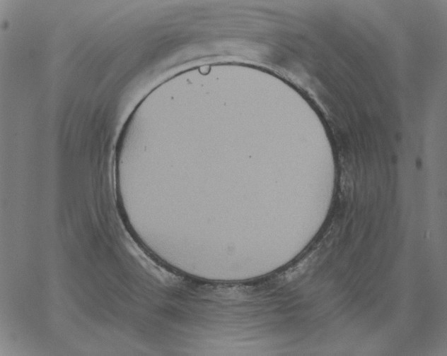 X0000066961516200604211828