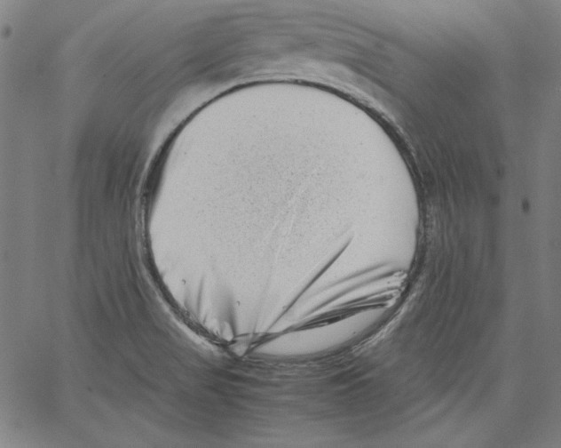 X0000066961517200604211828