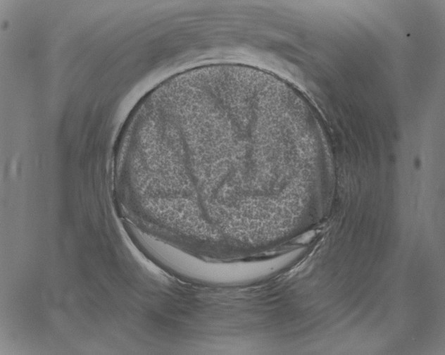 X0000066961519200604211828