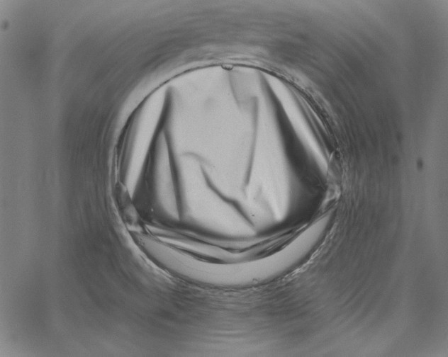 X0000066961520200604211828