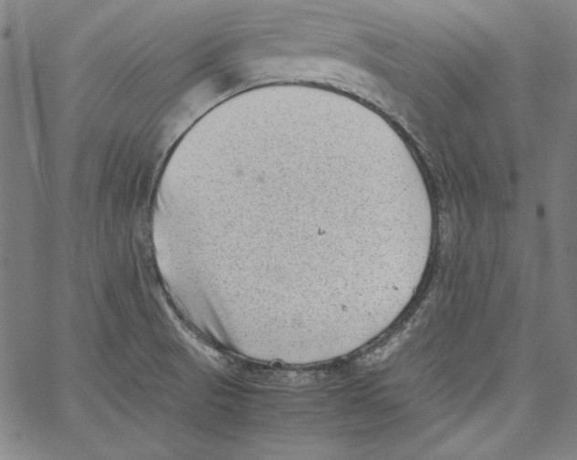 X0000066961521200604211828