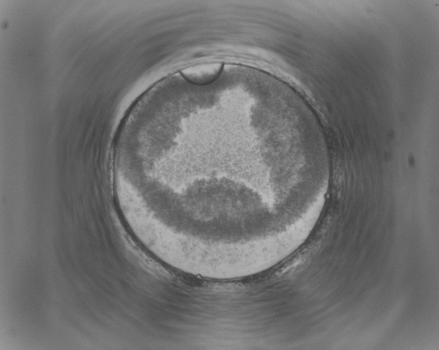 X0000066961522200604211828