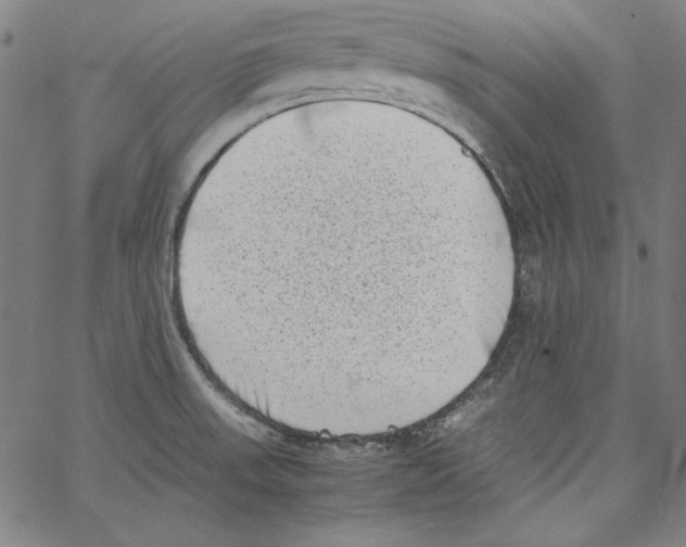 X0000066961523200604211828