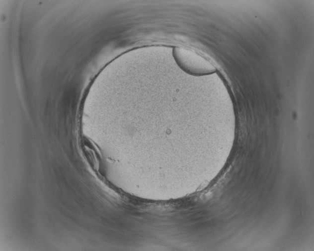 X0000066961525200604211828