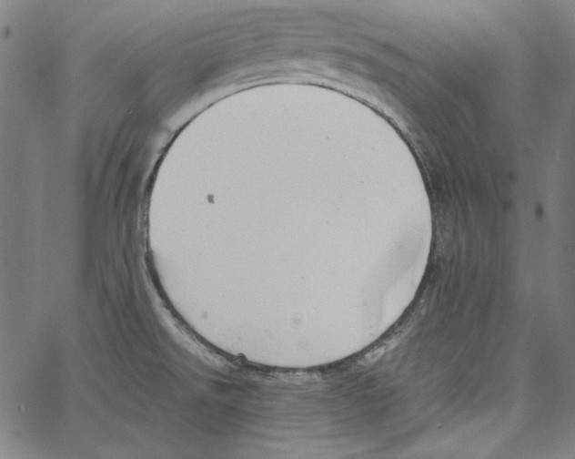 X0000066961526200604211828