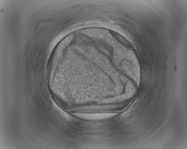 X0000066961527200604211828