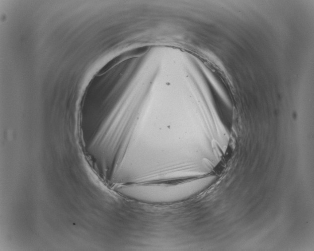 X0000066961528200604211828