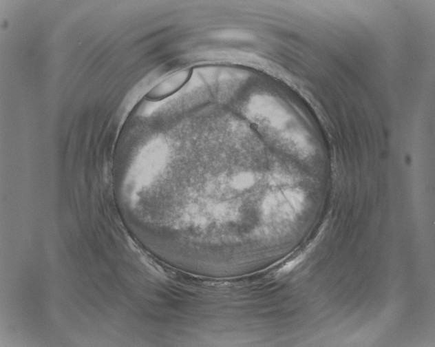 X0000066961529200604211828