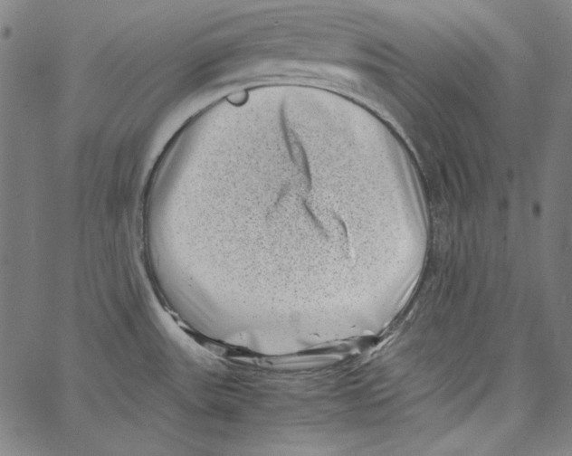 X0000066961531200604211828