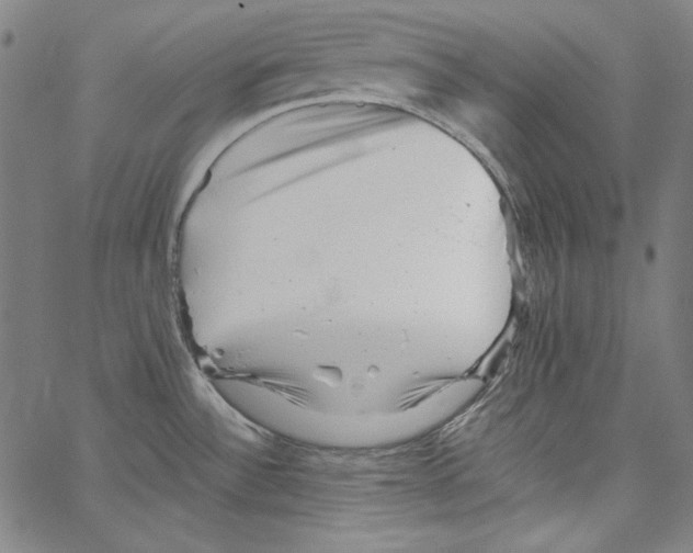 X0000066961532200604211828