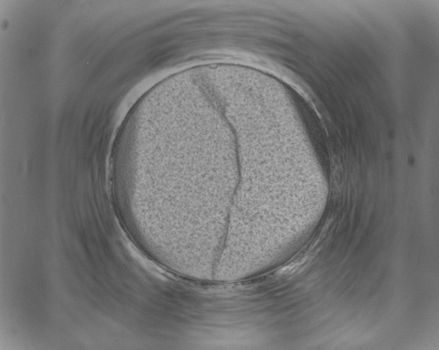 X0000066961535200604211828