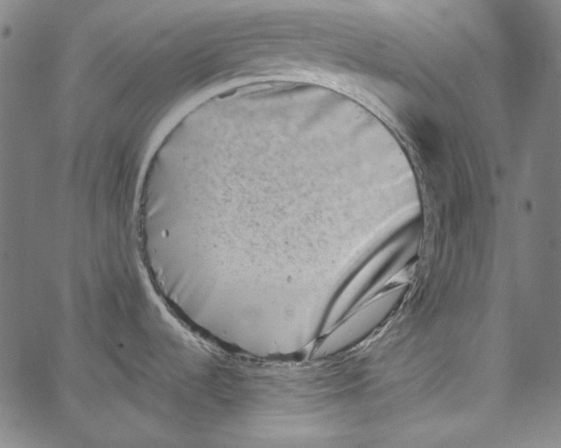 X0000066961536200604211828