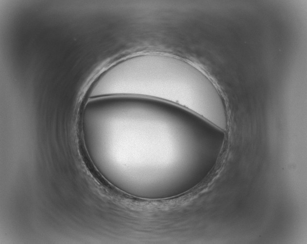X0000066970007200603241031