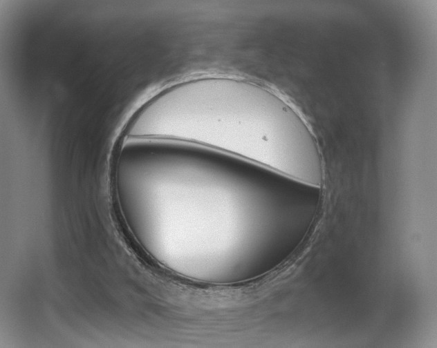 X0000066970008200603241031