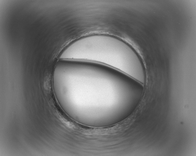 X0000066970009200603241031