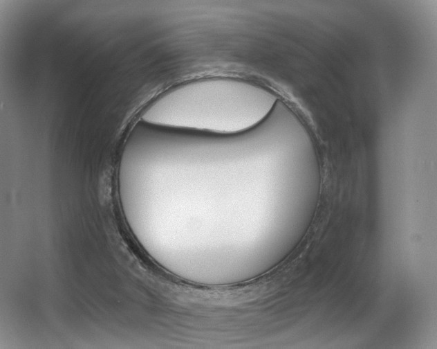 X0000066970010200603241031