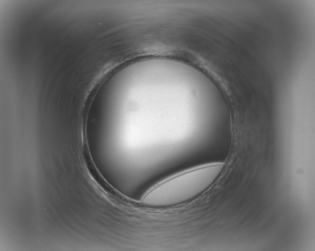 X0000066970011200603241031