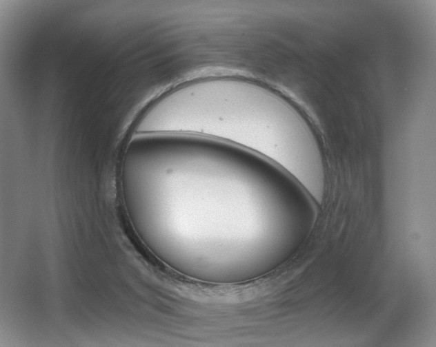 X0000066970015200603241031