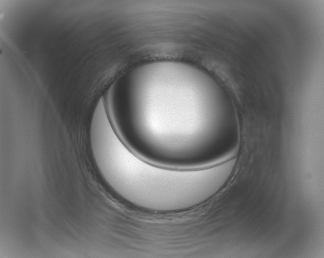 X0000066970017200603241031