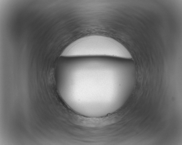 X0000066970034200603241030