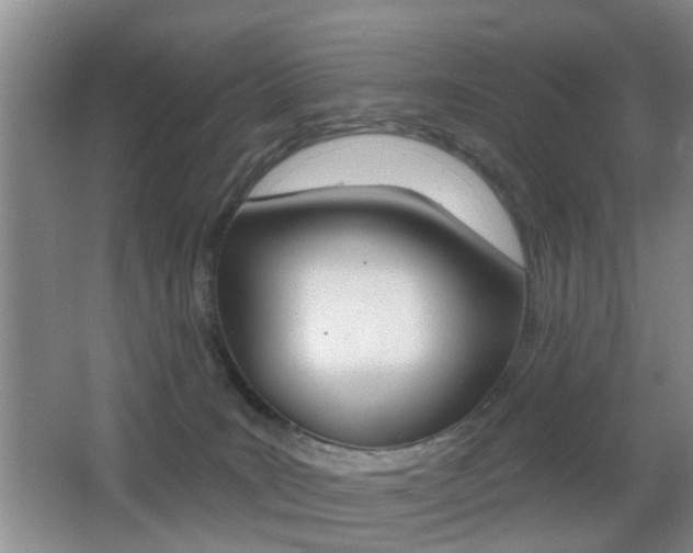 X0000066970035200603241030