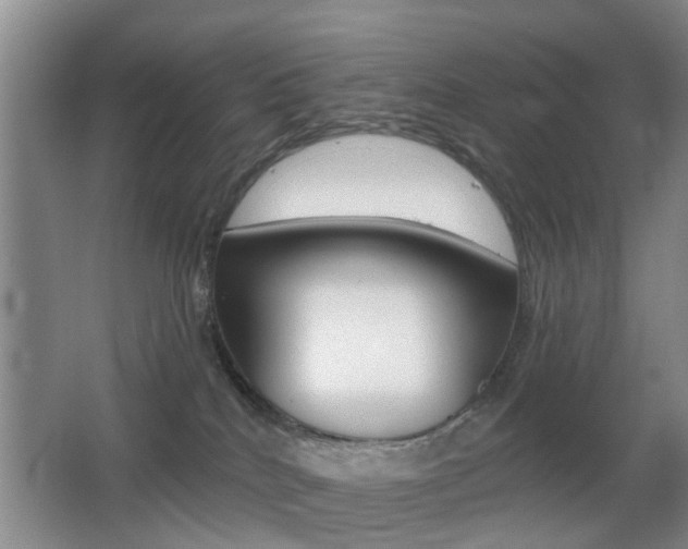 X0000066970040200603241030