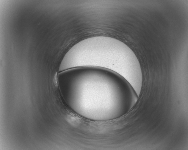 X0000066970041200603241030
