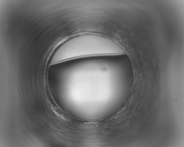 X0000066970050200603241029