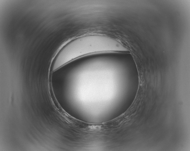 X0000066970052200603241029