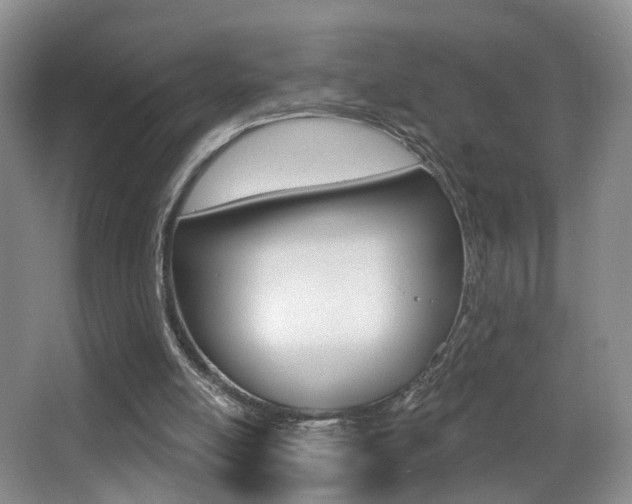 X0000066970054200603241029