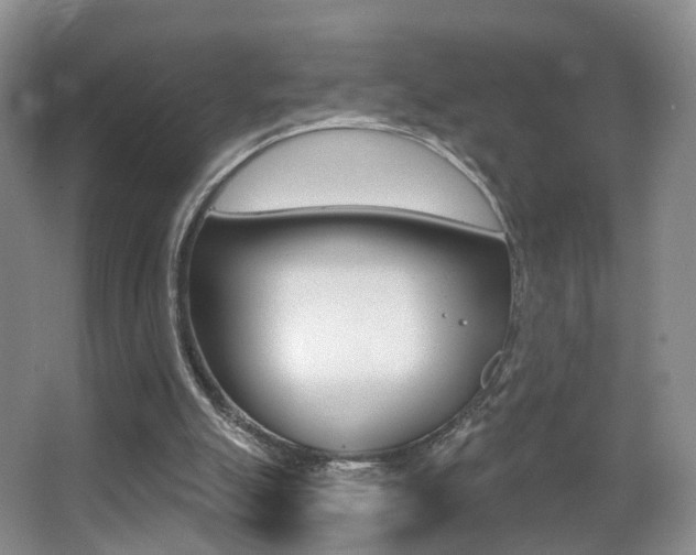X0000066970055200603241029
