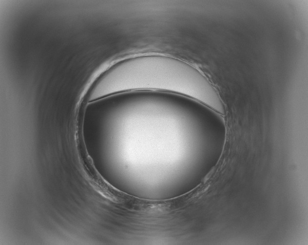 X0000066970056200603241029