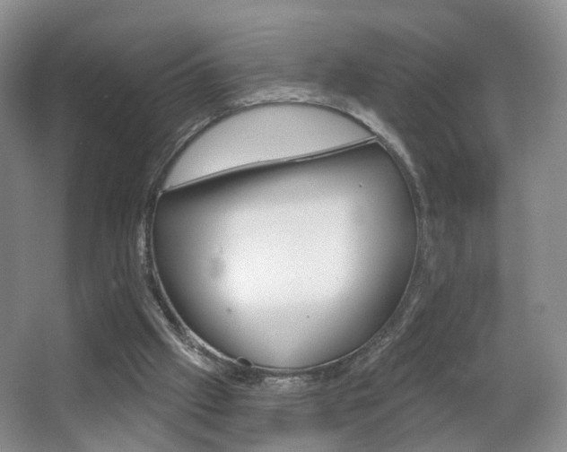 X0000066970057200603241029