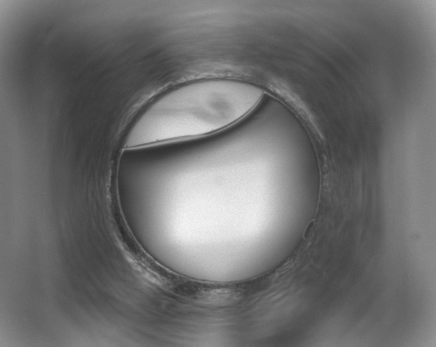 X0000066970058200603241029