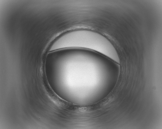 X0000066970064200603241030