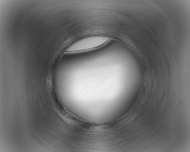 X0000066970072200603241030