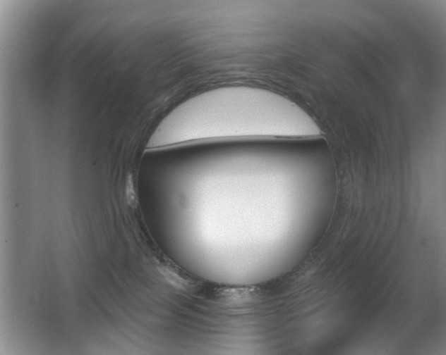 X0000066970089200603241030