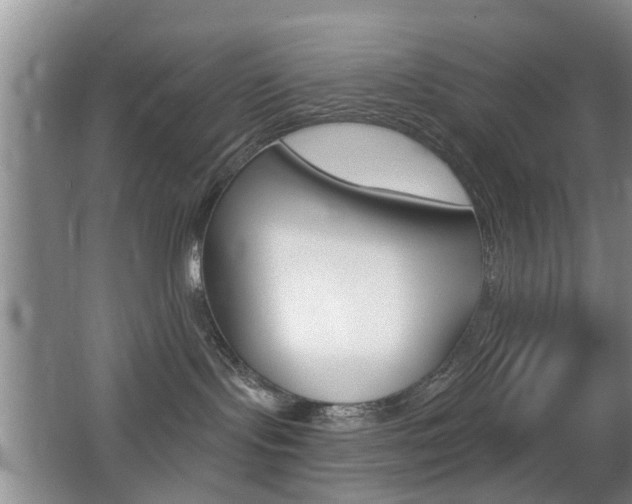 X0000066970095200603241030