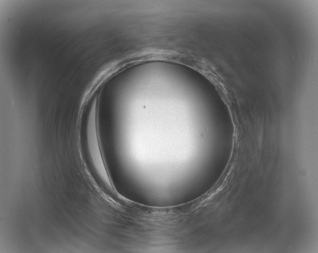 X0000066970101200603241029