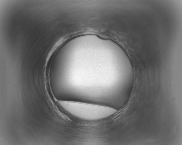 X0000066970102200603241029