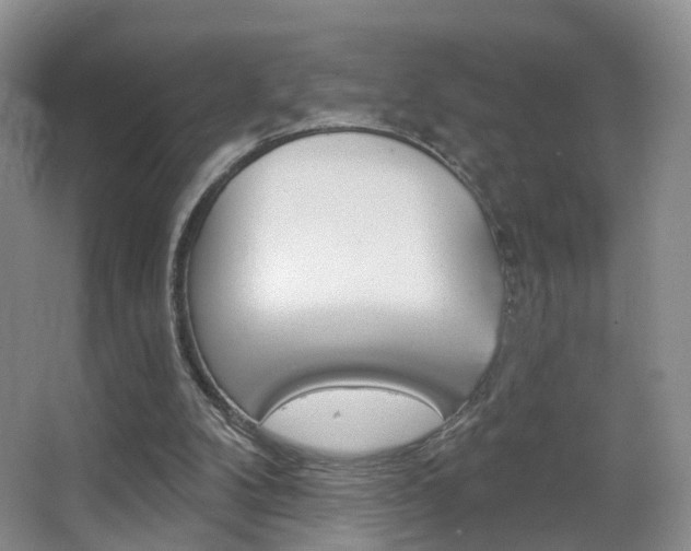 X0000066970104200603241029