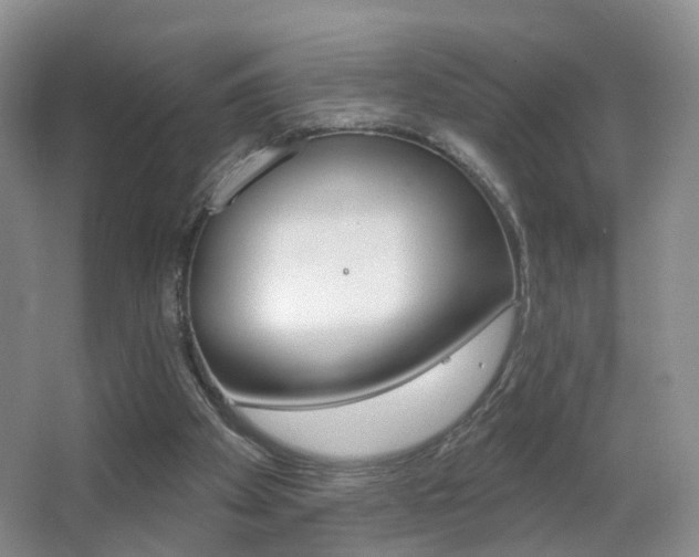 X0000066970105200603241029